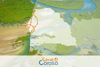 Circuit Coralia Au cœur du Sénégal