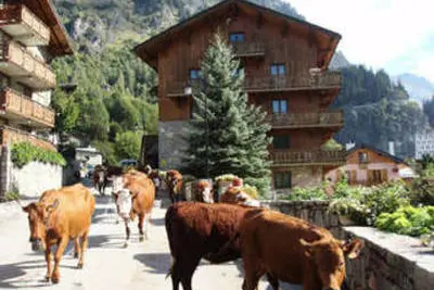 Les Chalets du Bouquetin