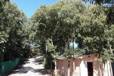 Camping Les Micocouliers