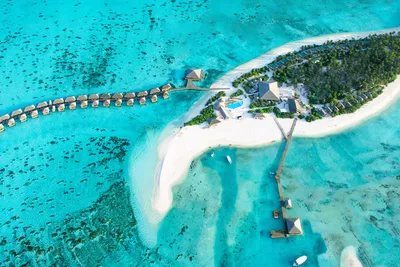 Hôtel Cocoon Maldives 5*