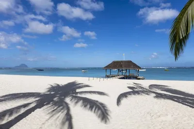 Hôtel La Pirogue Resort & Spa 4*