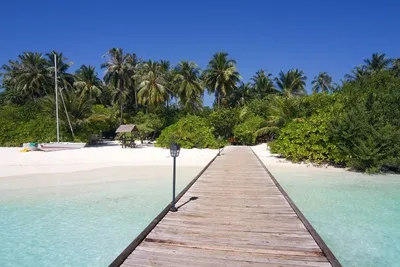 Hôtel Embudu Village Resort 3*