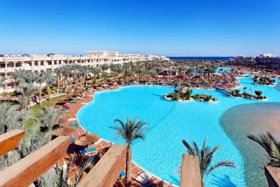 Hôtel Albatros Palace Resort 5*