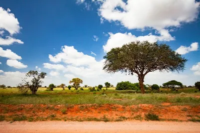 Safari 2 nuits Tsavo East, Taita Hills et Séjour au Neptune Village Beach Resort & Spa 4*nl
