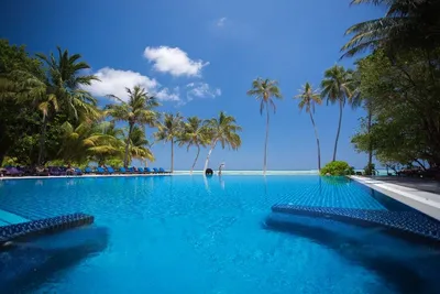 Hôtel Meeru Island Resort & Spa 4*