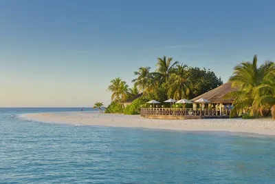 Hôtel Angaga Island Resort & Spa 4*