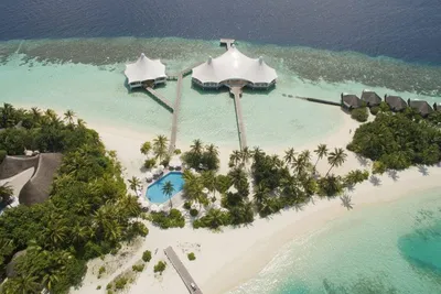 Hôtel Safari Island Resort & Spa 4*