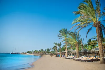 Hôtel Sindbad Club 4*