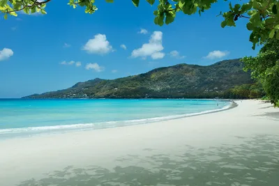 Hotel Story Seychelles 5*