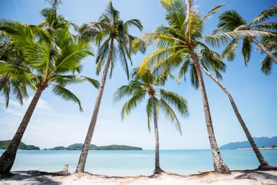 Combiné De Kuala 3* aux sables de Langkawi 4*