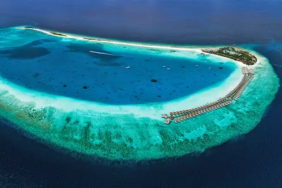 Hotel Finolhu Maldives 5*