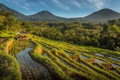 Duo Ubud, Jimbaran: Furamaxclusive Resort & Villas 5* & Le Méridien Bali Jimbaran 5*