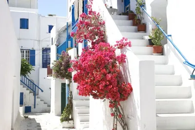Combiné Mykonos et Santorin 4* - De Mykonos A Fira