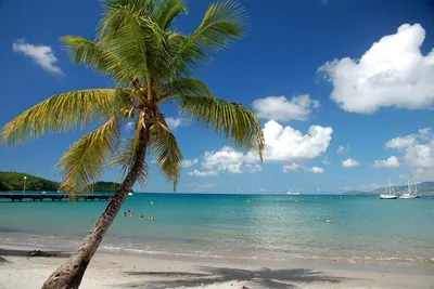 Combiné Martinique Guadeloupe avec Location de voiture-Le Village Créole 3* & Berceuse Créole