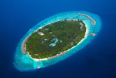 Hôtel Dusit Thani Maldives 5*