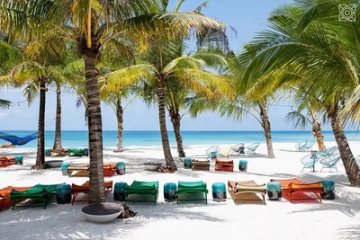 Hôtel Zuri Zanzibar 5*