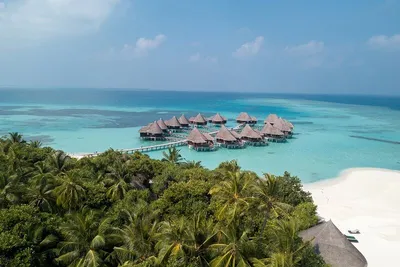 Hôtel Coco Palm Dhuni Kolhu Resort & Spa 4* Sup
