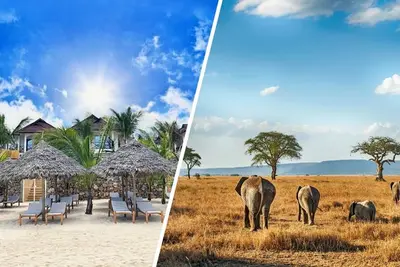 Ôclub Zen Sansi Kendwa Beach Resort 4* + Safari 3 Nuits