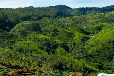 Circuit Merveilles du Sri Lanka et extension Kalutara