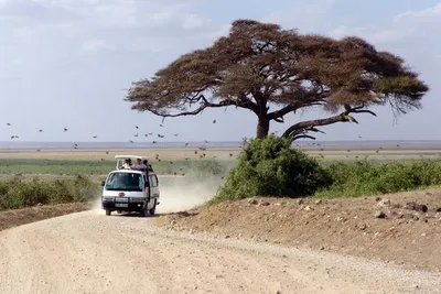 Circuit Merveilles du Kenya Mara Safari en véhicule 4X4 & extension Plage de Diani