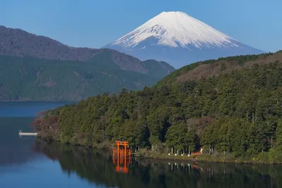 Circuit Splendeurs du Japon & Extension Tokyo
