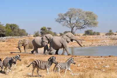 Circuit Splendeurs de Namibie & Extension Fish River Canyon & Chutes Victoria
