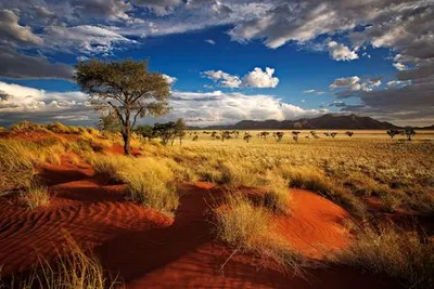 Circuit Splendeurs de Namibie & Extension Chutes Victoria