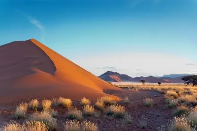 Circuit Splendeurs de Namibie & extension Fish River Canyon