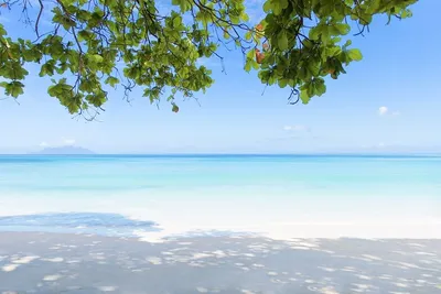 Hôtel Story Seychelles 5*