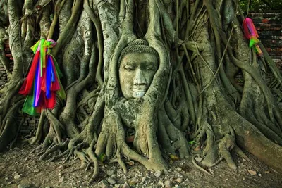 Circuit Immersion en Thaïlande & Extension Koh Samed Hôtel 4*