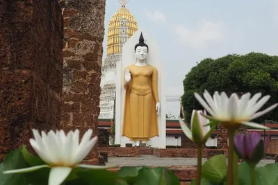 Circuit Immersion en Thaïlande & Extension Koh Samed Hôtel 3*