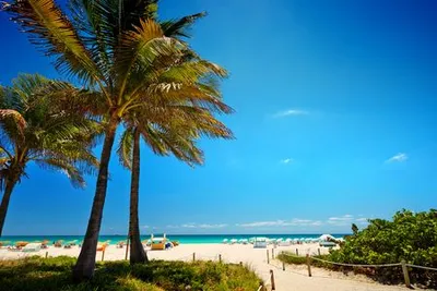 Circuit Splendeurs de Floride & extension Miami Beach