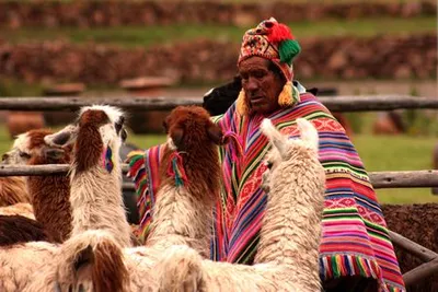 Circuit Douceurs au Pays des Incas & Extension Amazonie
