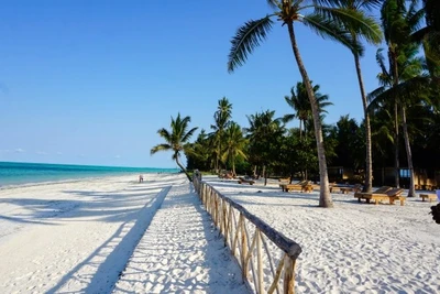 Club Framissima Paje Palms Beach Resort 4* - Vol de jour