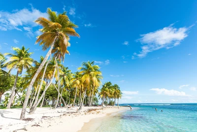 Résidence Tropicale