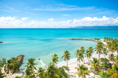 Hôtel Arawak Beach Resort 4*