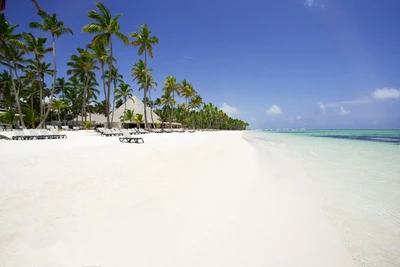 Hôtel Barcelo Bavaro Beach 5* - Adult Only