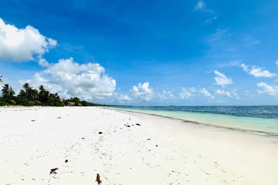 Hôtel Palumbo Mnemba View Resort 4* (vol de jour)