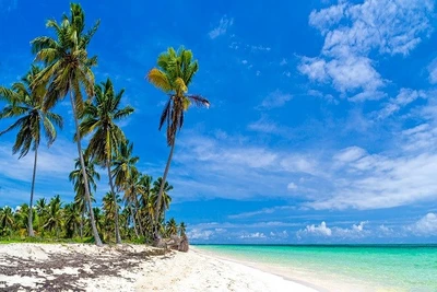 Hôtel Sunscape Dominicus La Romana 5*