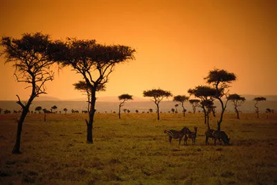 Safari Tsavo East 3J/2N et Séjour au Kappa Club AHG Lion Beach Resort 4*nl