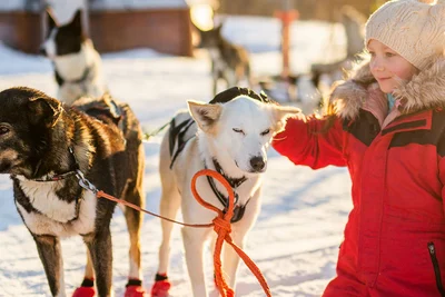 Séjour Activités Au Coeur de la Laponie - Hôtel Samperin Savotta en chalet