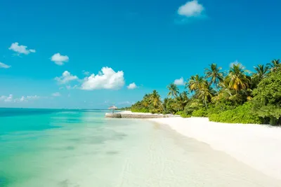 Hôtel Canareef Resort Maldives 4*