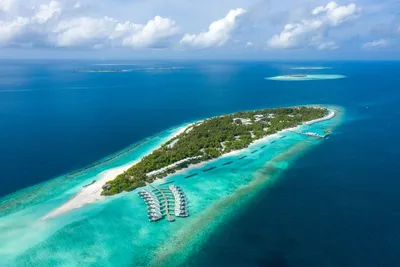 Hôtel Dhigali Maldives 5*