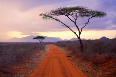 Safari Tsavo East 3J/2N et Séjour au AHG Lion Beach Resort 4*nl