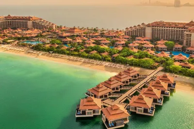 Hôtel Anantara The Palm Dubaï Resort 5*
