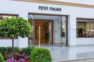 Hôtel Mitsis Petit Palais 4*