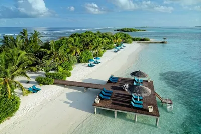 Hôtel Canareef Resort Maldives 4*
