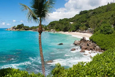 Hôtel Carana Beach 4*