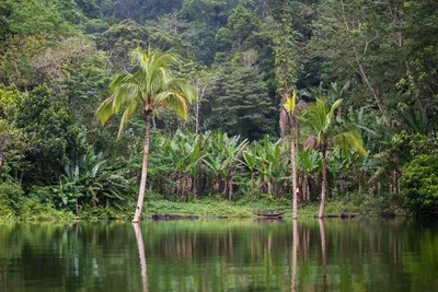 Combiné de Séjour Privatif : Beauté des îles Visayas