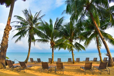 Hôtel Paradise Beach Resort 4*